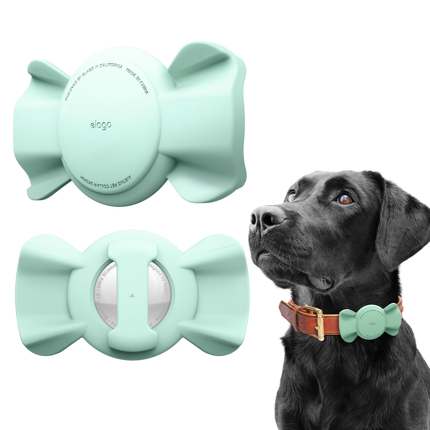 Pet Collar Ribbon Case [3 Colors]