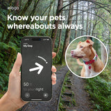 Pet Collar W5 Case [2 Colors]