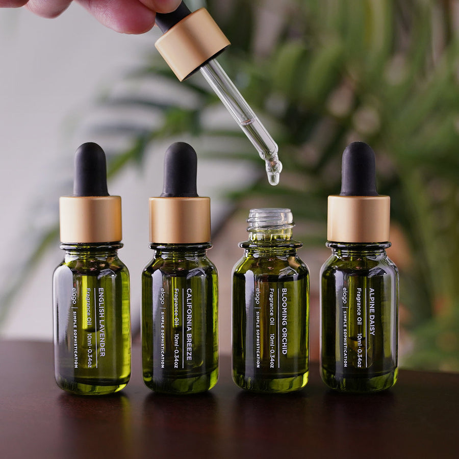 Fragrance Oil [4 Scents]